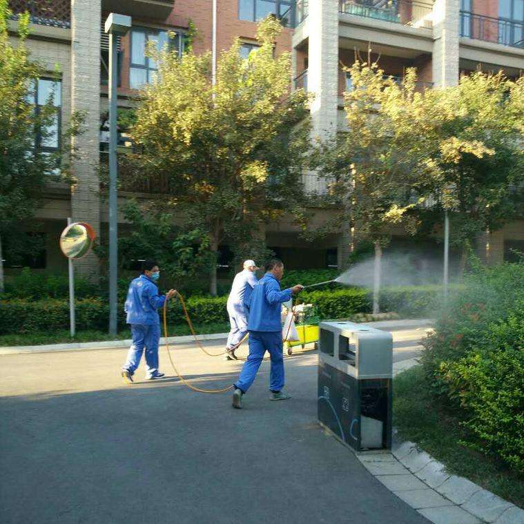 灭蚊虫