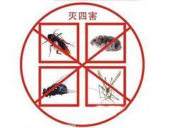 专业消杀公司1