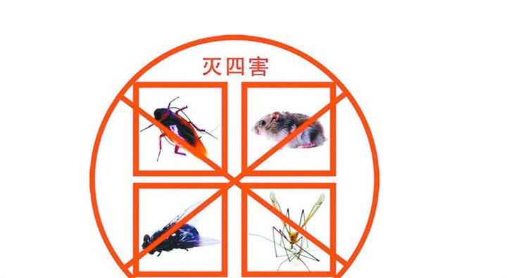 专业除四害公司