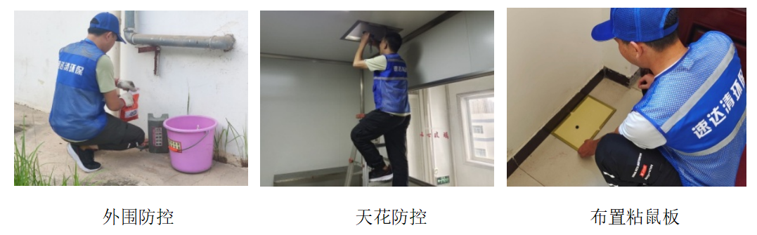 老鼠防治