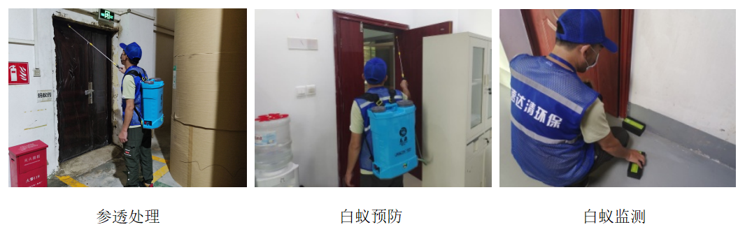 白蚁防治