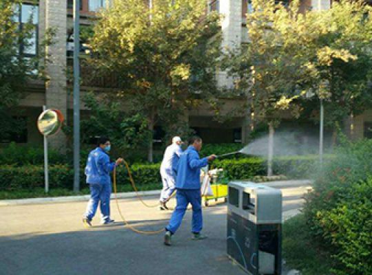 南宁市江南区灭蚊虫