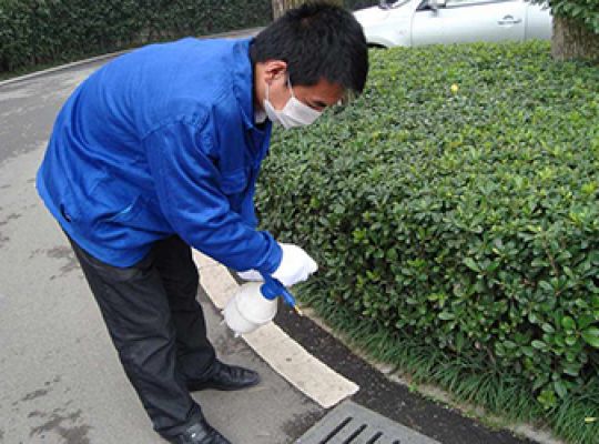 南宁市江南区灭四害